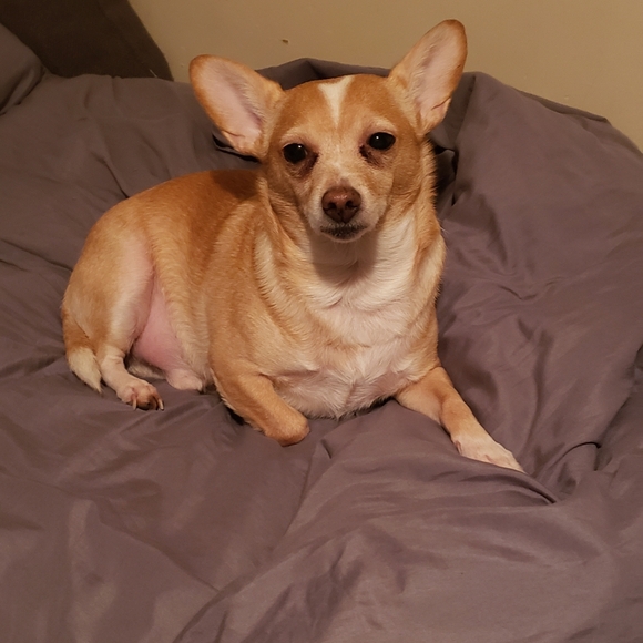 Meet your Posher, Regina - Picture 12 of 13